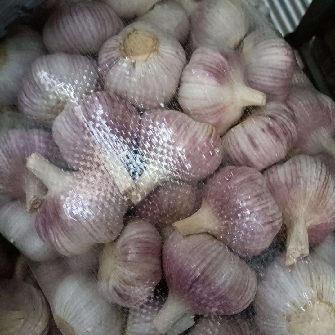 邳州净蒜代办