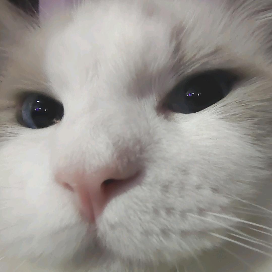 你恶心谁呢