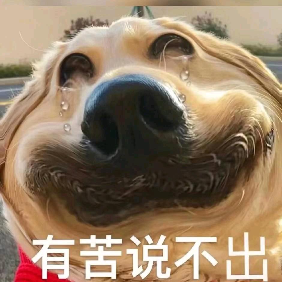 全能吃货