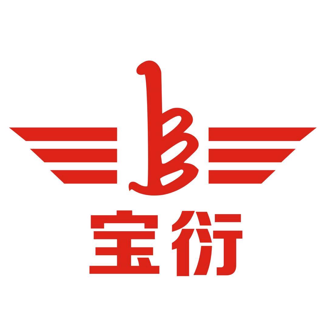 宝衍国标电动车