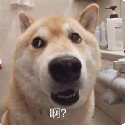 我爱吃鸡翅膀