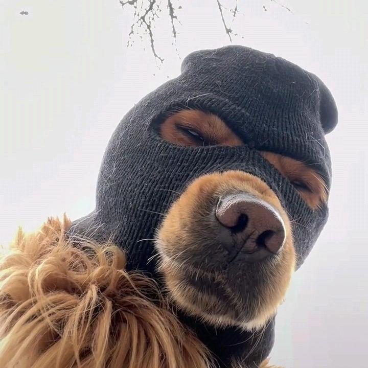 幕后煮💩者