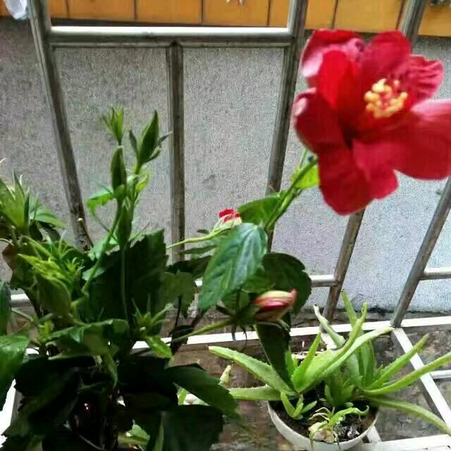 用户672424914831美丽人生