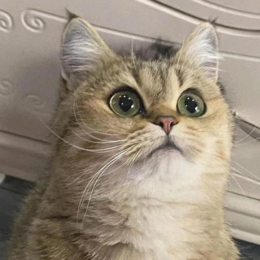说一不二