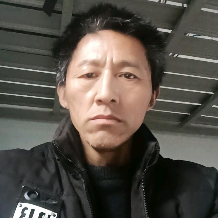 八月桂花香