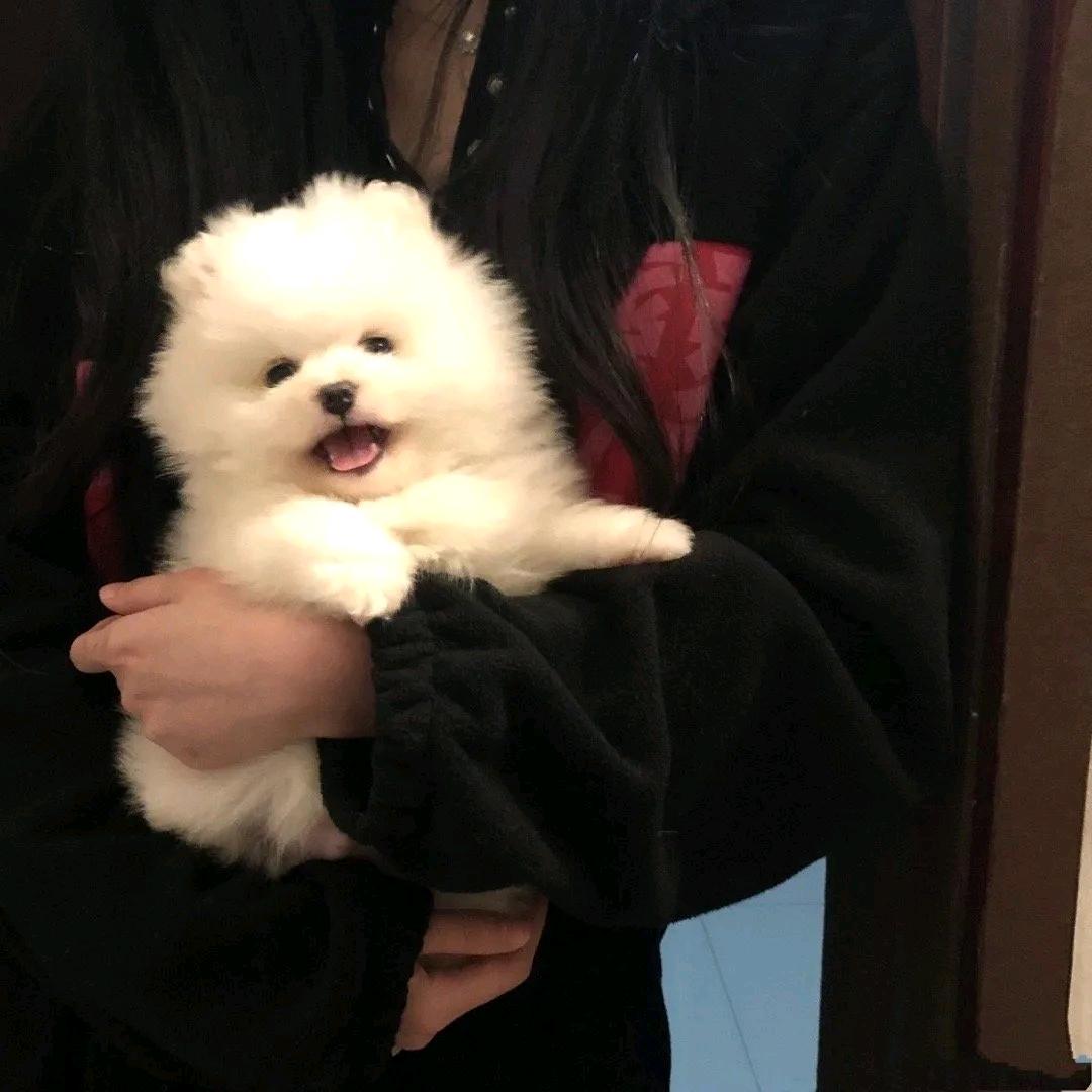 就酱吧唧