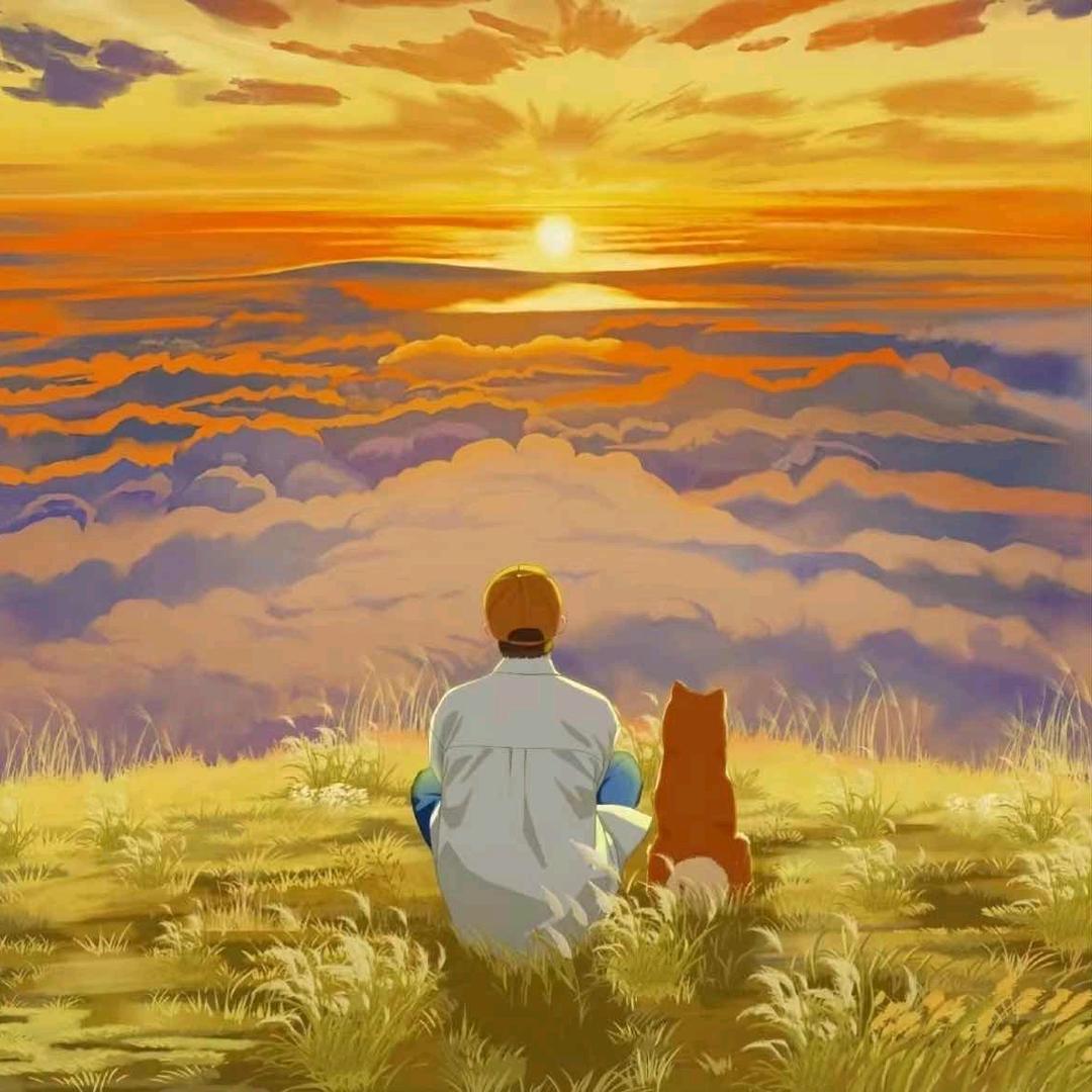 听风看云梦长天