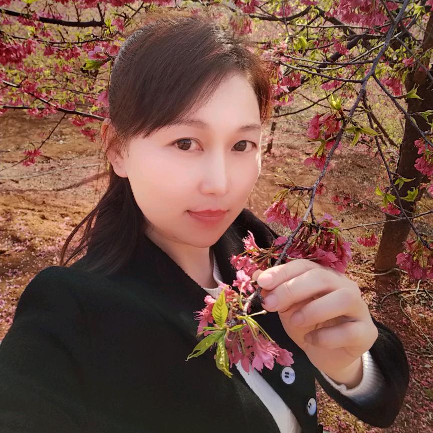 叶叶