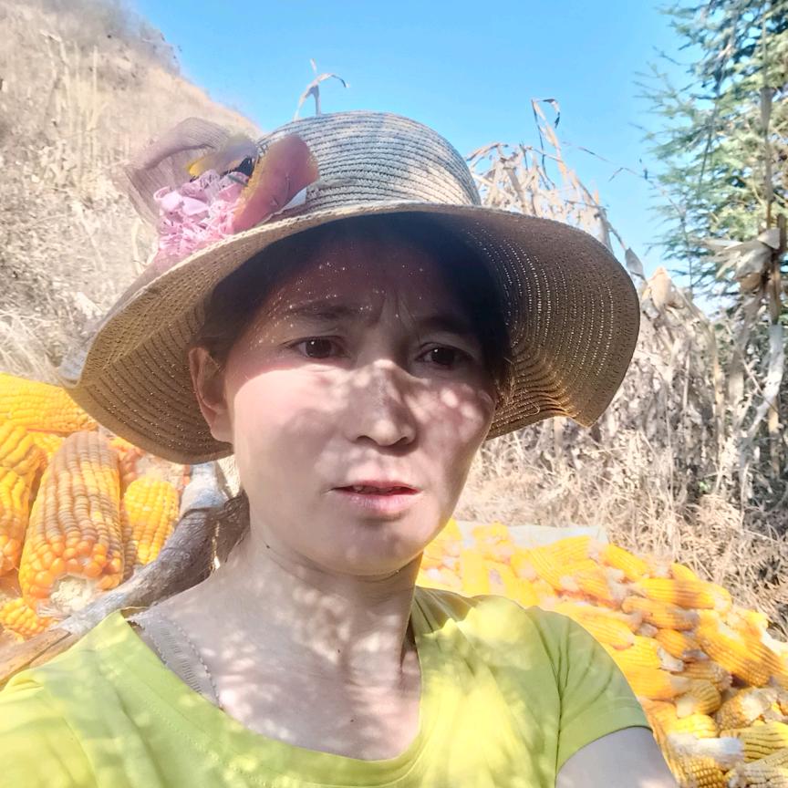 用户2521336533815