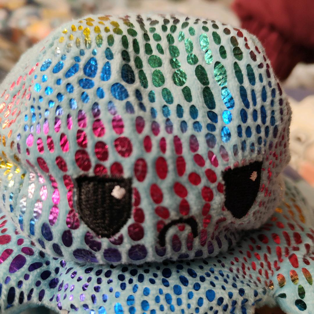 🤣章小鱼儿🐙