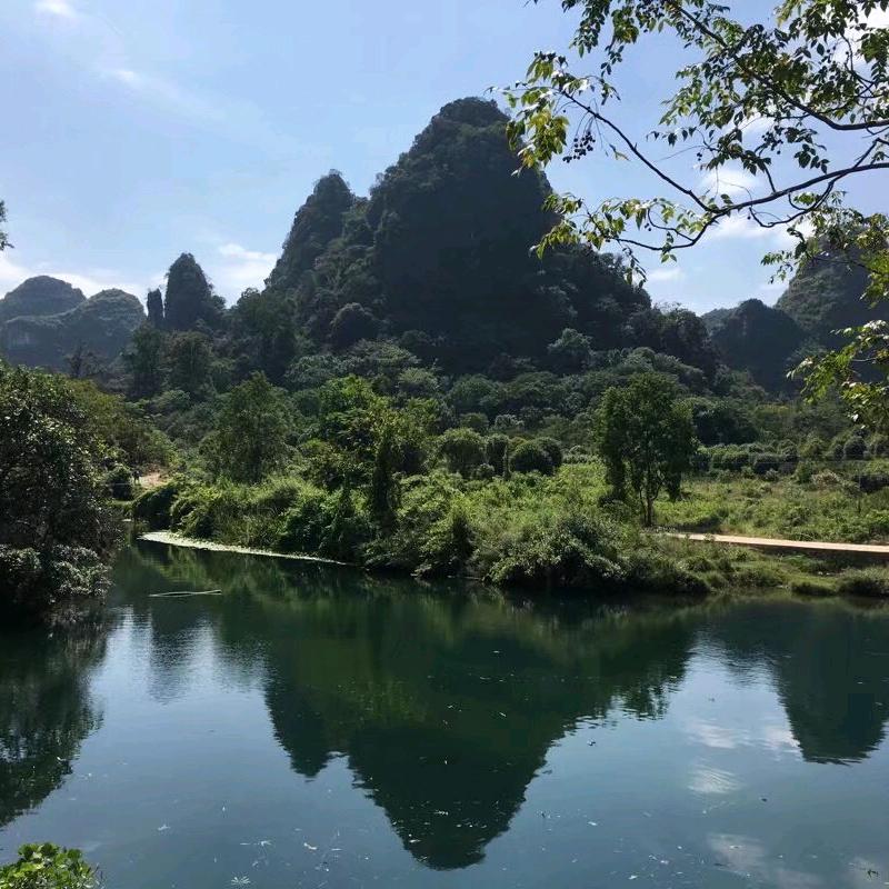 静静