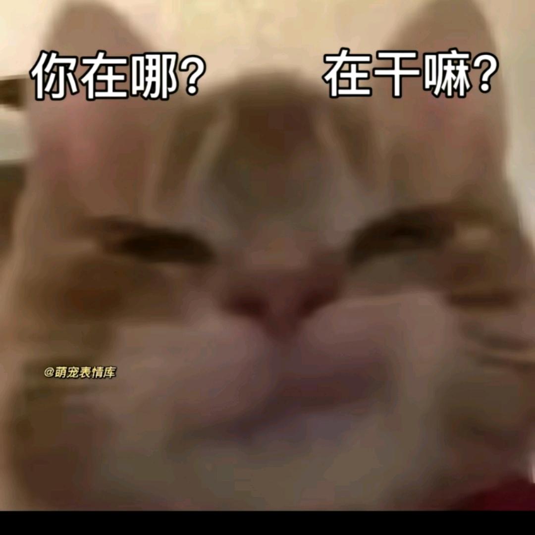 重生之我在大同卖盖浇饭拯救女主一生