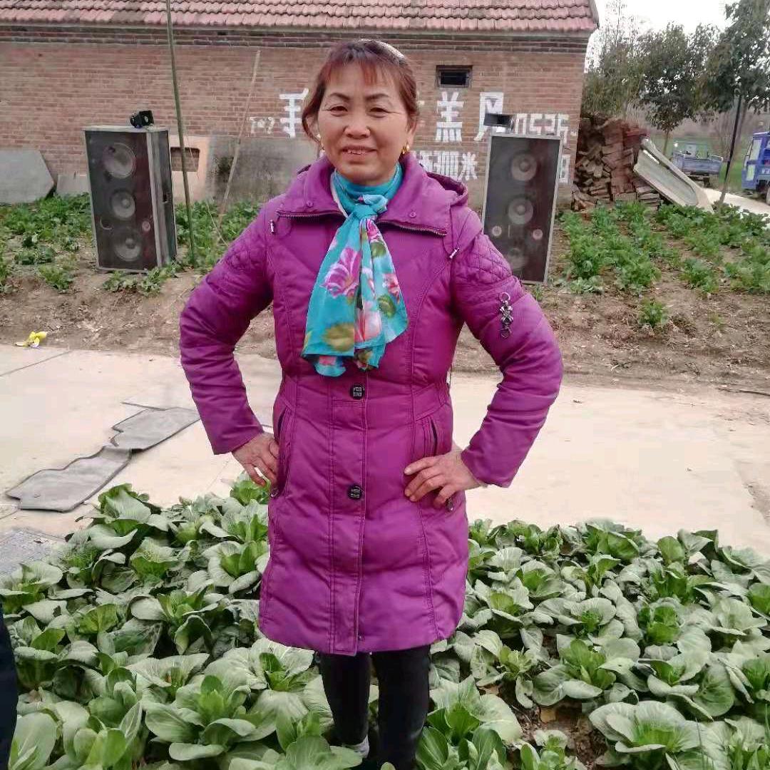 张文兰乐队