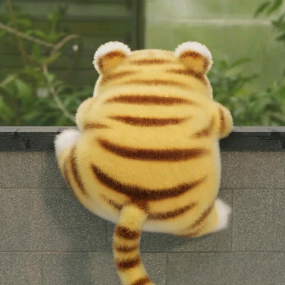 疯子般の我～✨º⁵²º