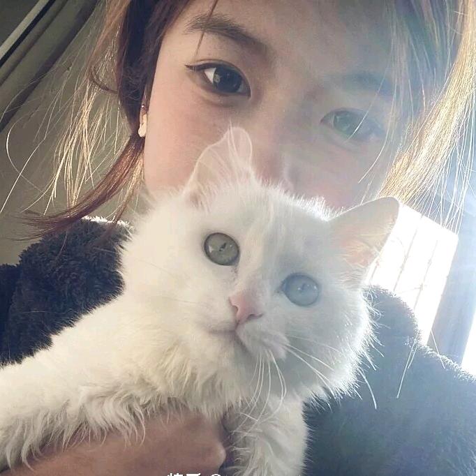 ³⁹度的风