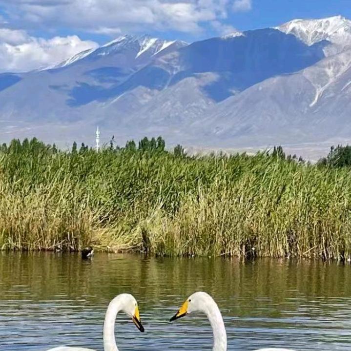 缘由心生随遇而安