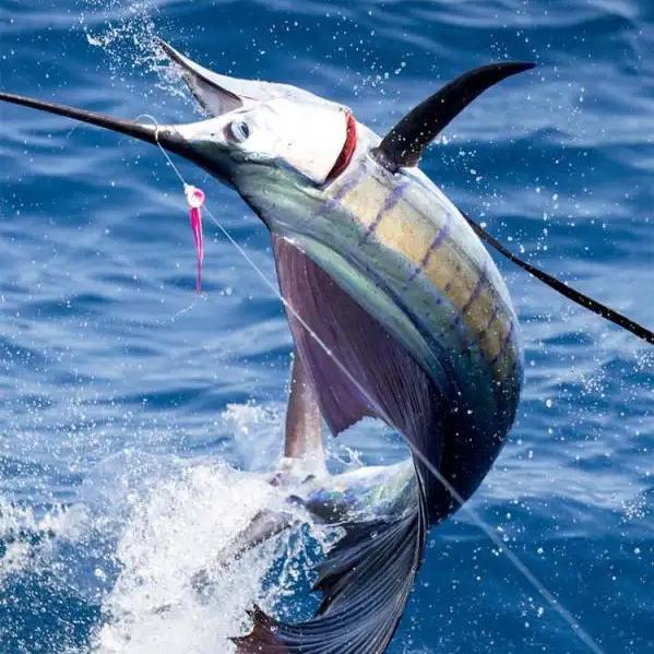 惠州出海天王团