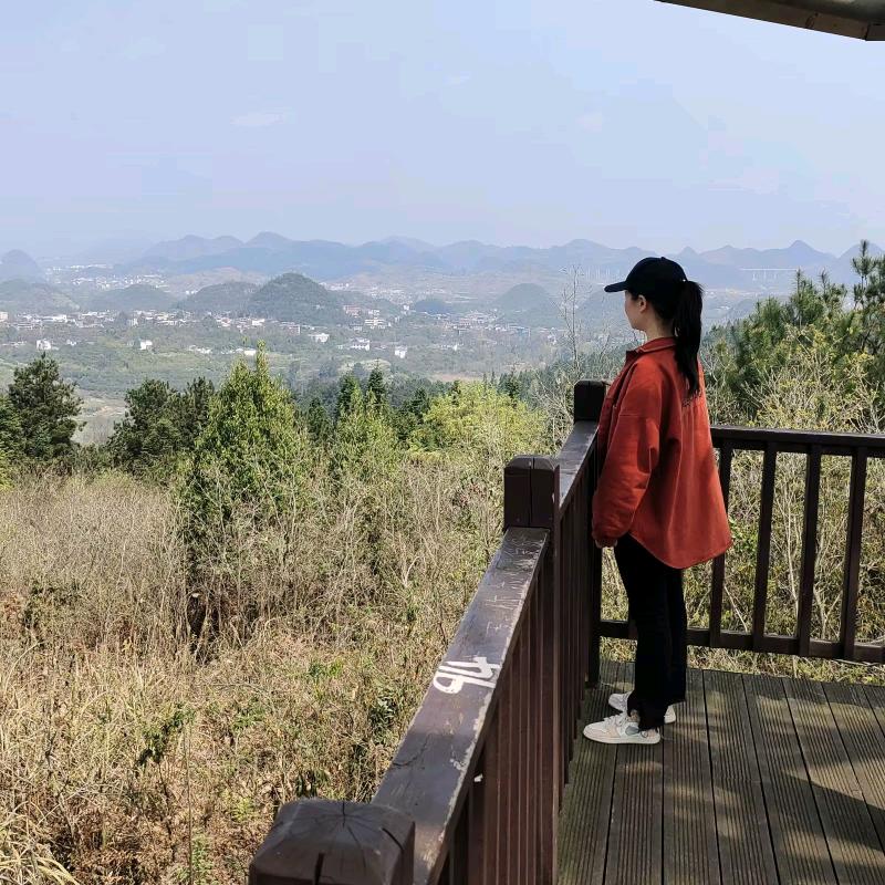 是丽丽吖