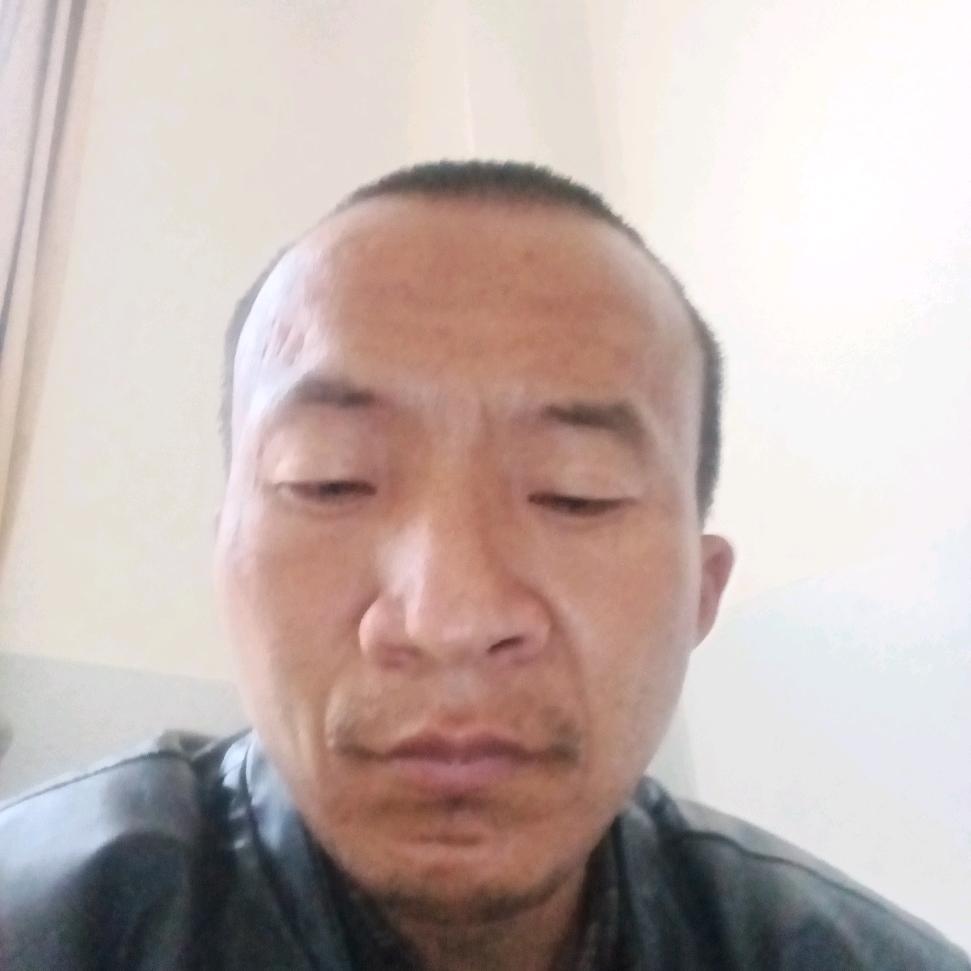云南豹子
