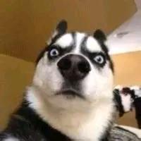 赵先生-（回收各种二手机床）