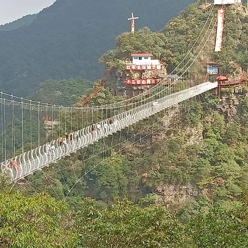 y云采飞扬