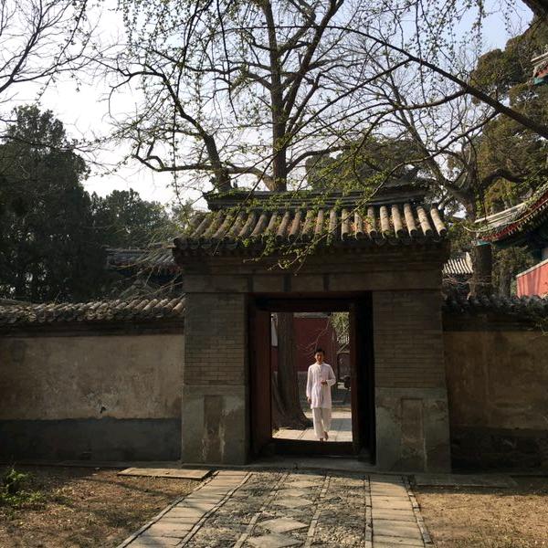 身心疗愈神龙老师