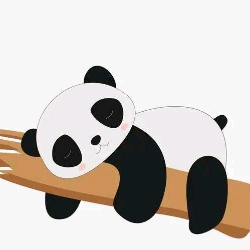 杨先生~
