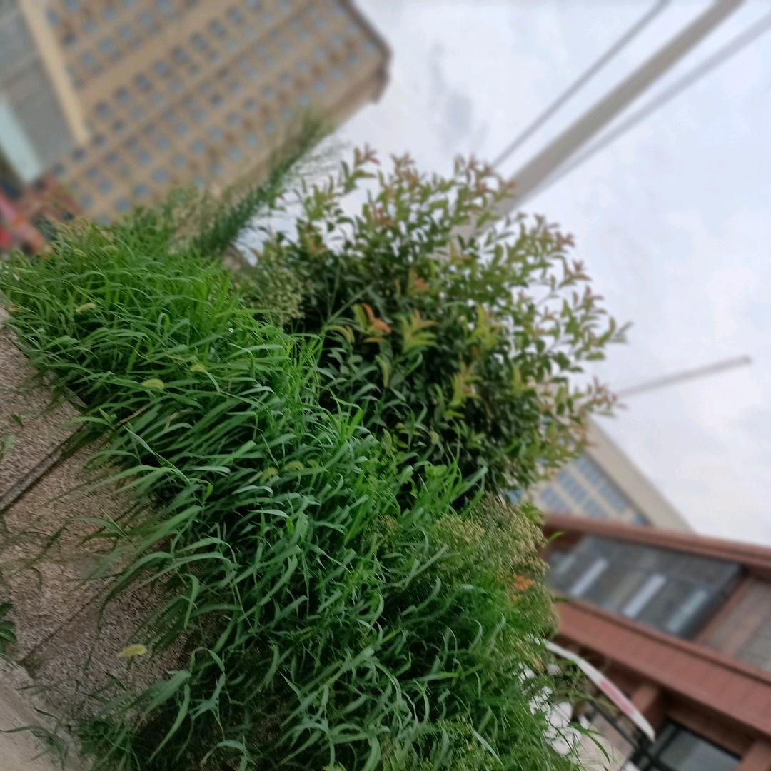 装修大哥王春林