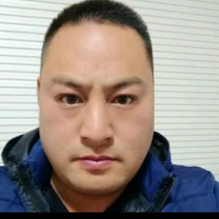 飞