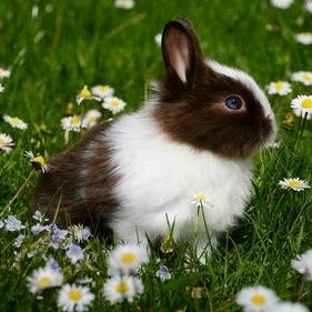 人生何处不相逢