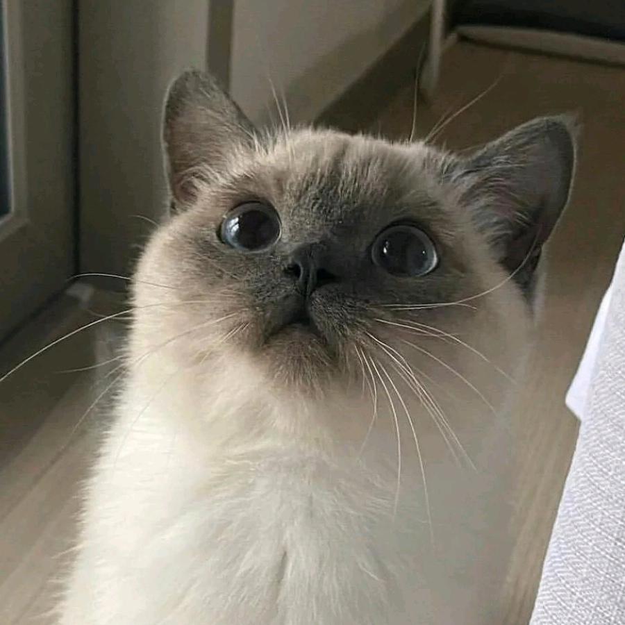 李铁