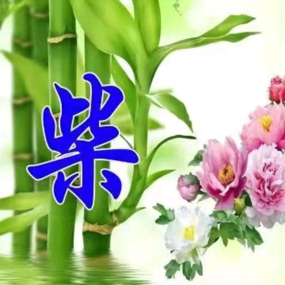柴     ,