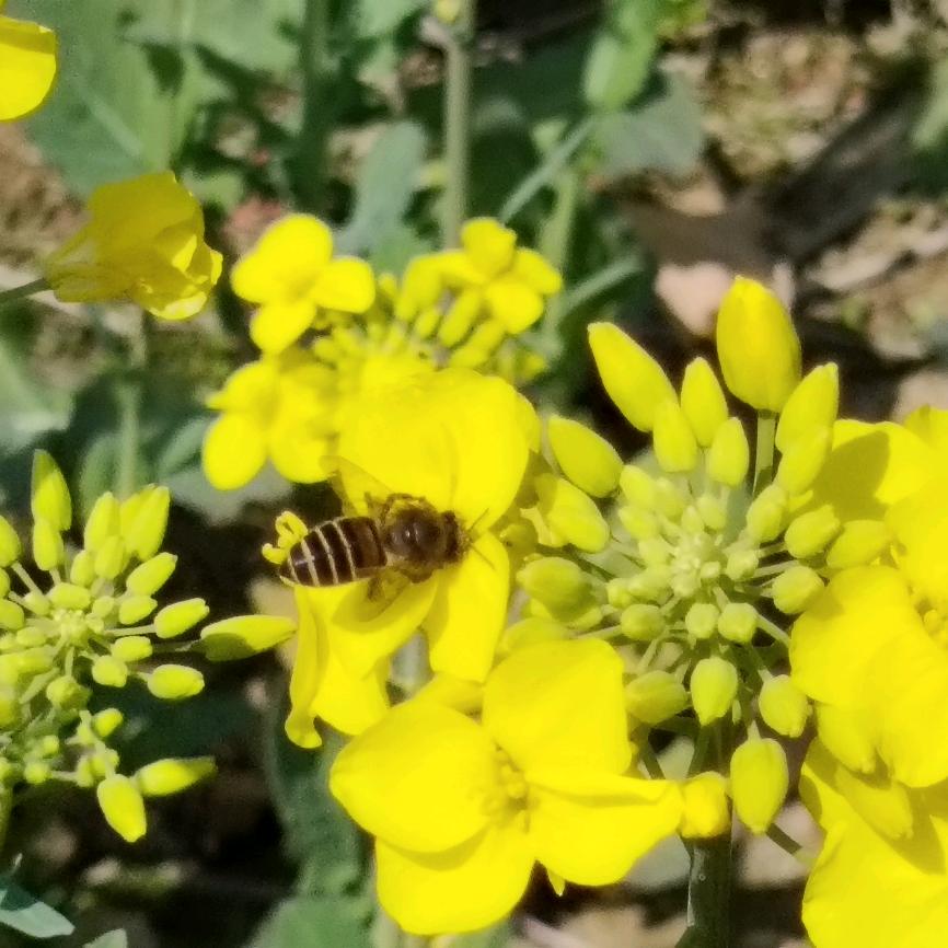 🍬💚木兮❤️²⁵⁹⁹