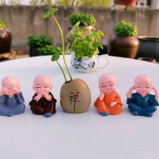 田园卷卷🍃🎈