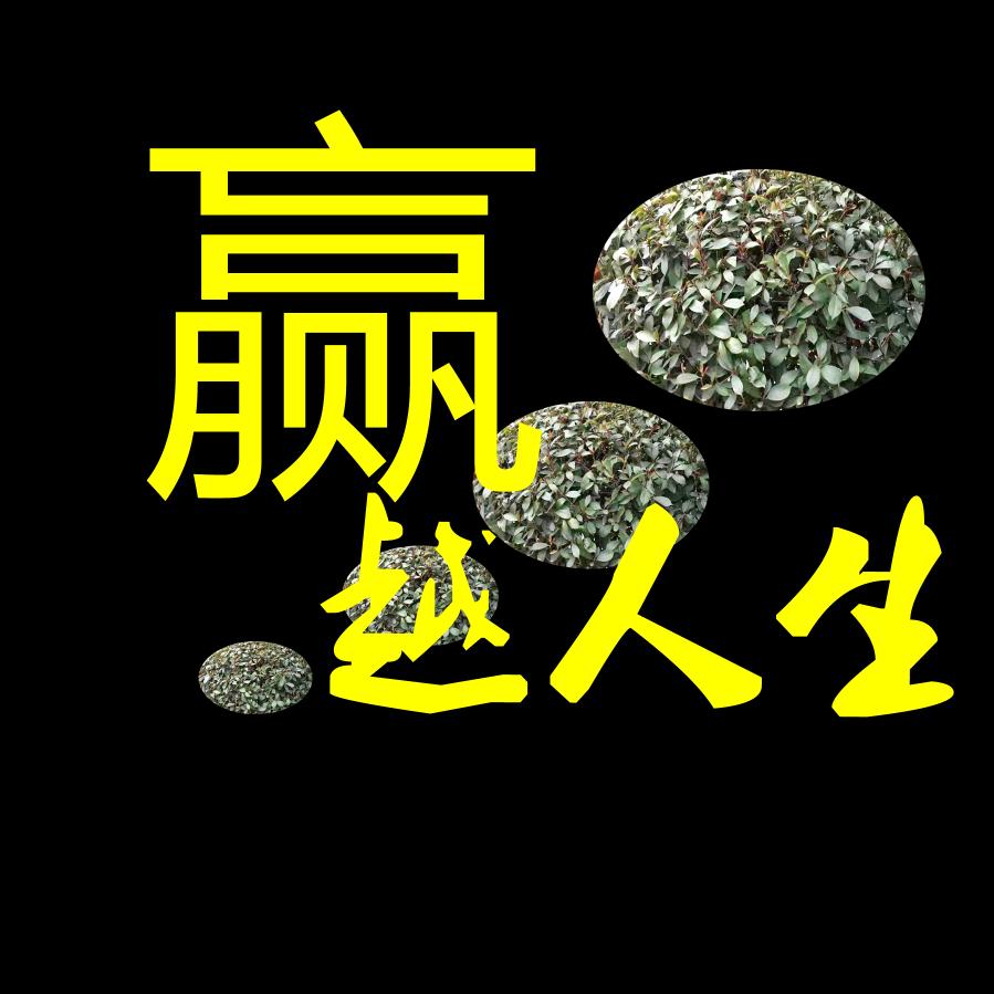 赢