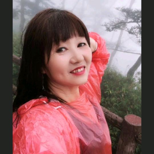 梦雨☔️