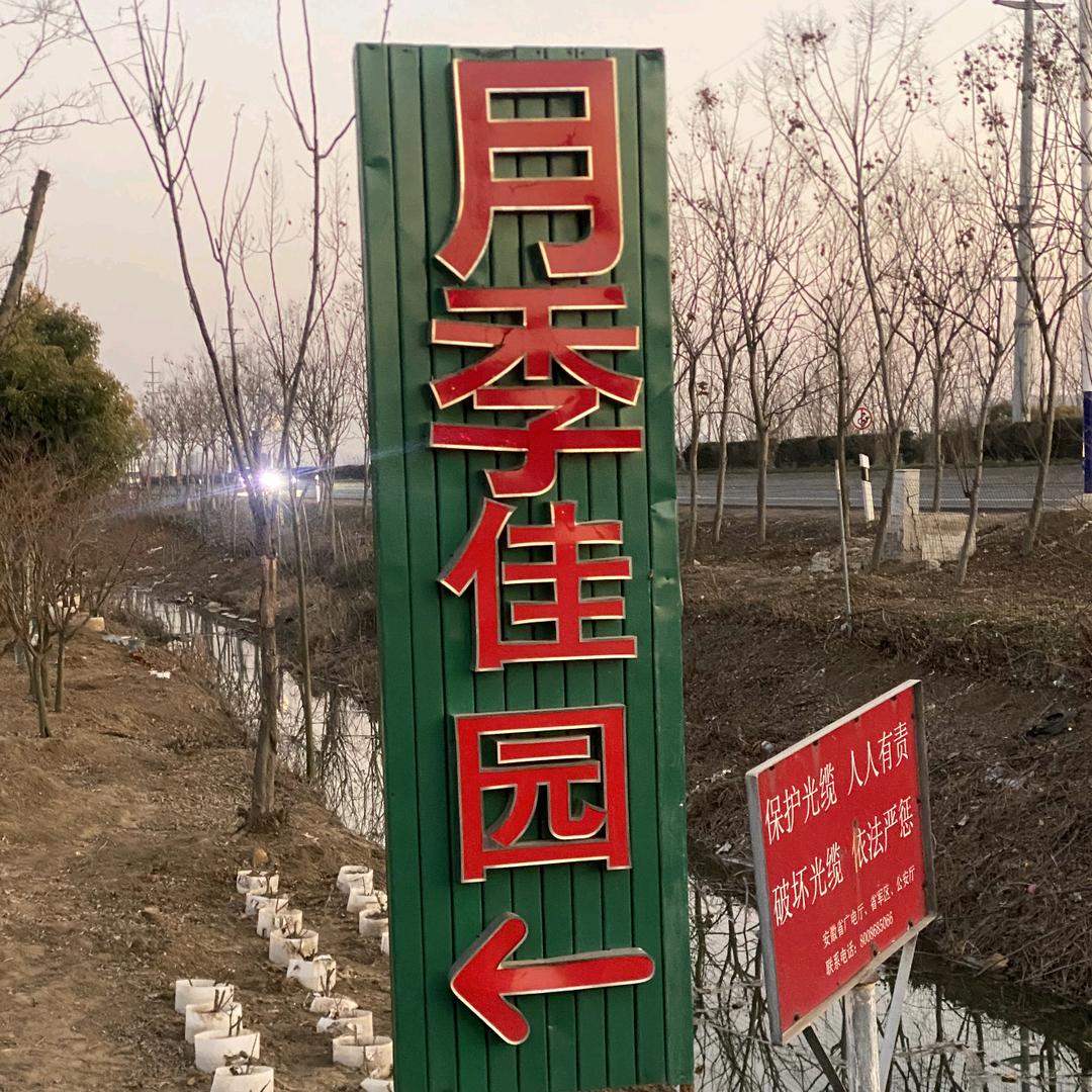 月季佳园（安徽省蚌埠市）刘玉芝