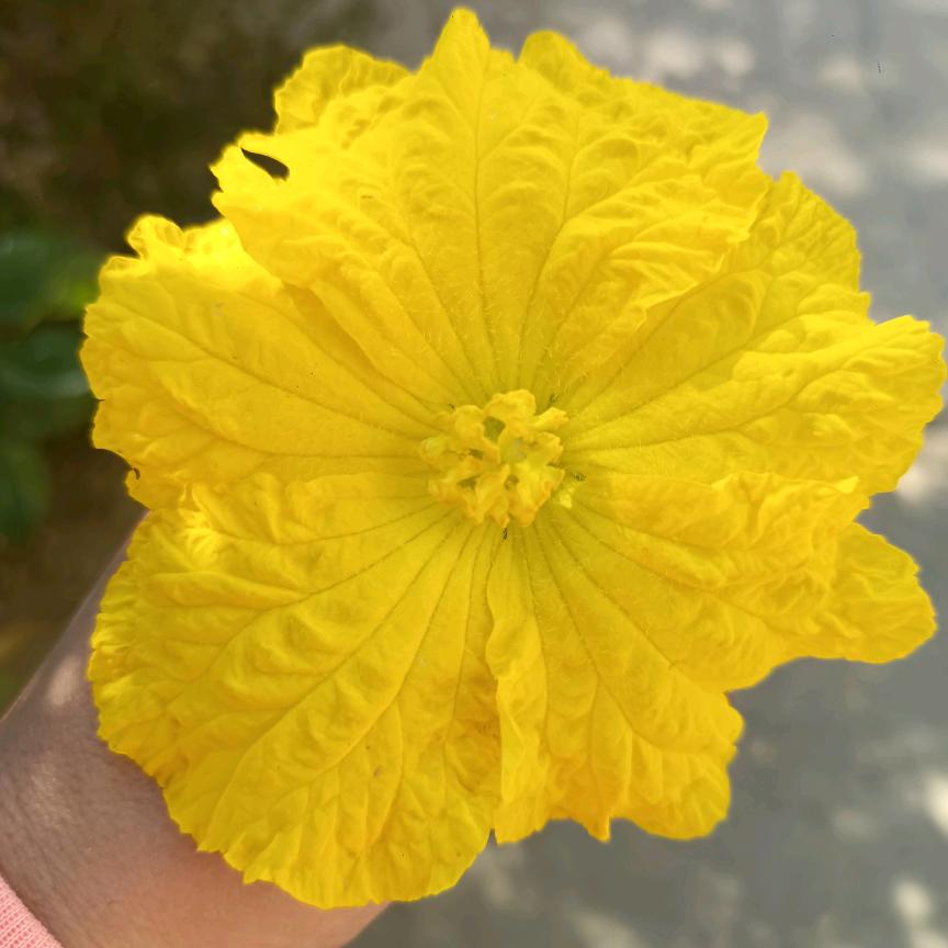 心态放好，一切都好。