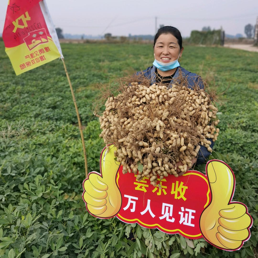 超越梦想
