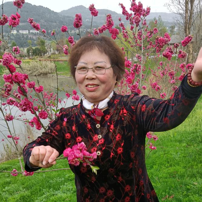 🌸春暖花开之花开富贵