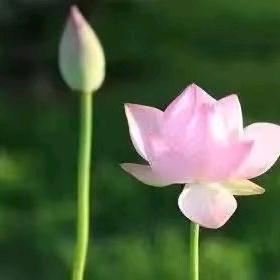 姜(∗❛ัᴗ❛ั∗)