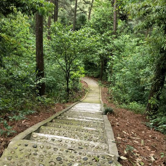 A心 满 意 足🐠