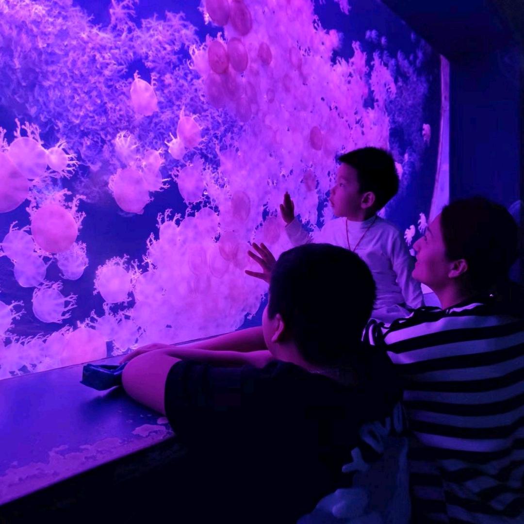 小糖逗