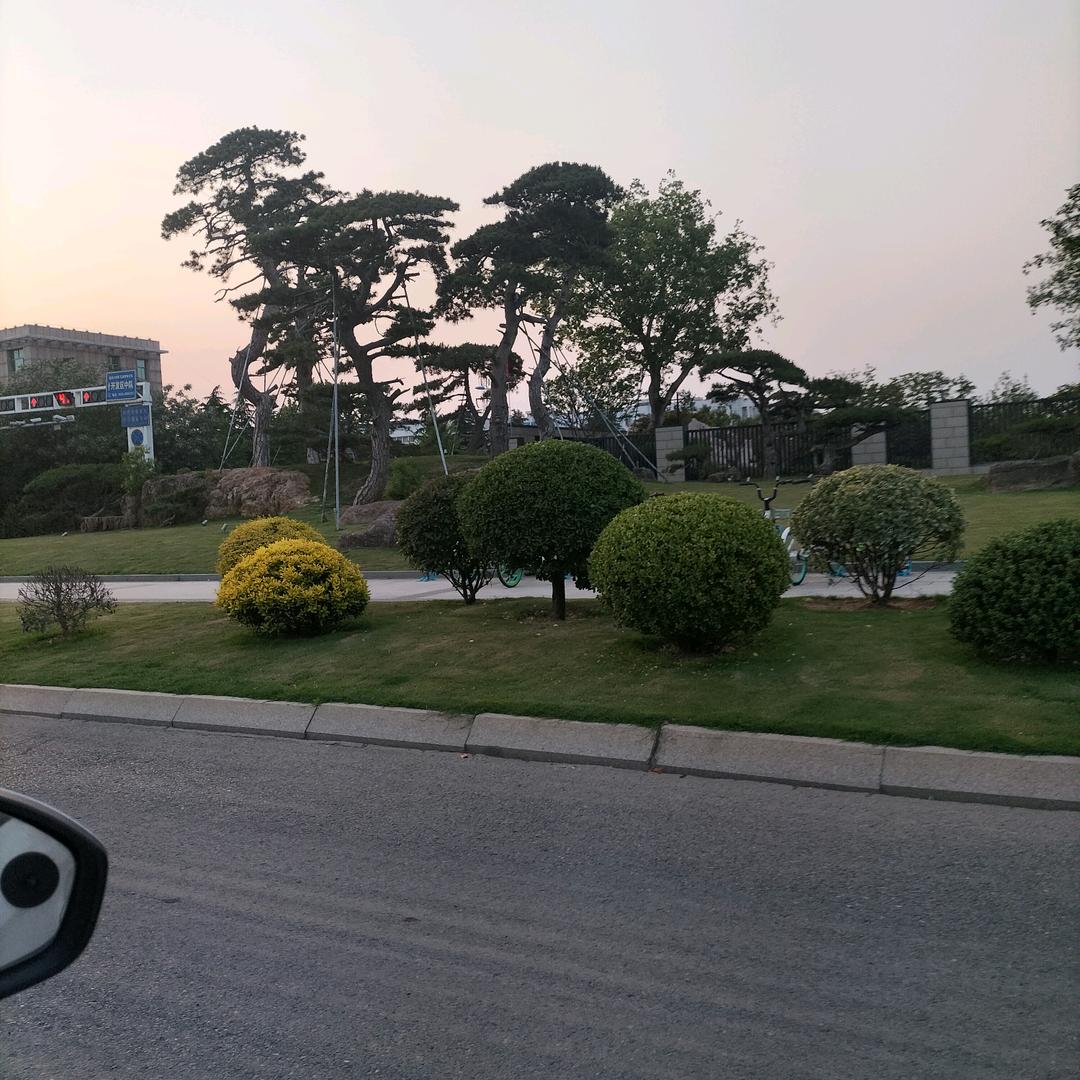 陈龙庆