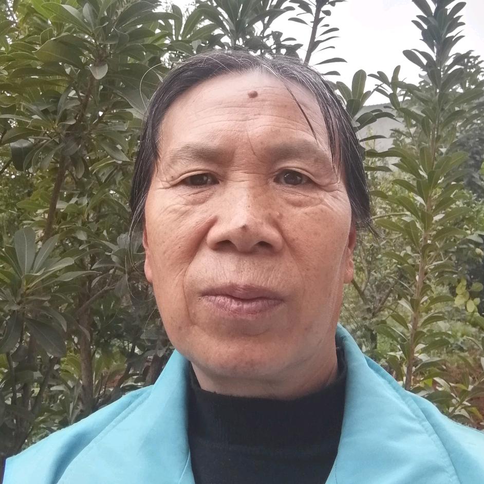 大白菜