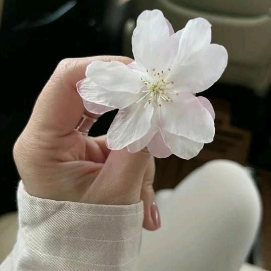 🌹MaFTuN 女服装 💋