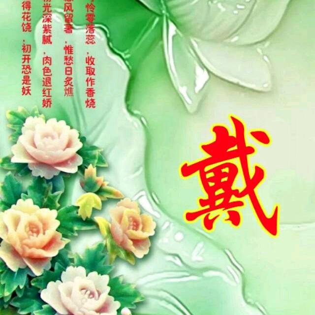 网事如风