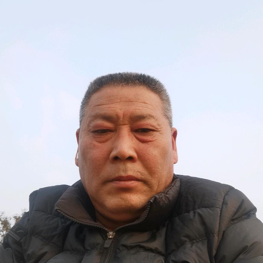 自由自在