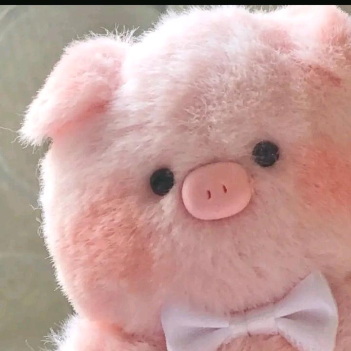 青青滴我来了