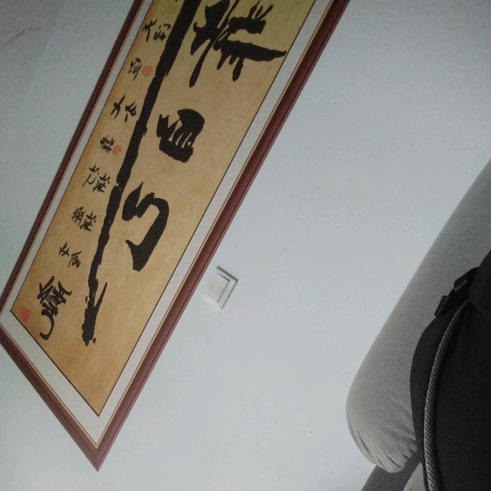 小笨猪